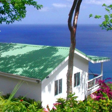 Nature'S Paradise Bed and Breakfast Marigot Bay Exteriör bild