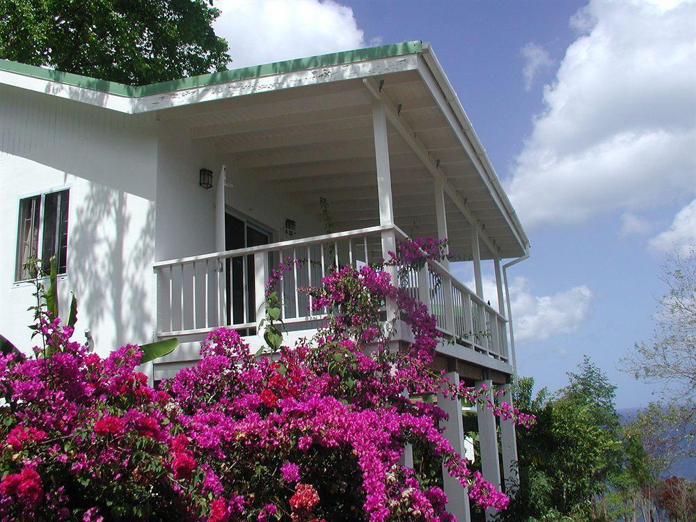 Nature'S Paradise Bed and Breakfast Marigot Bay Exteriör bild