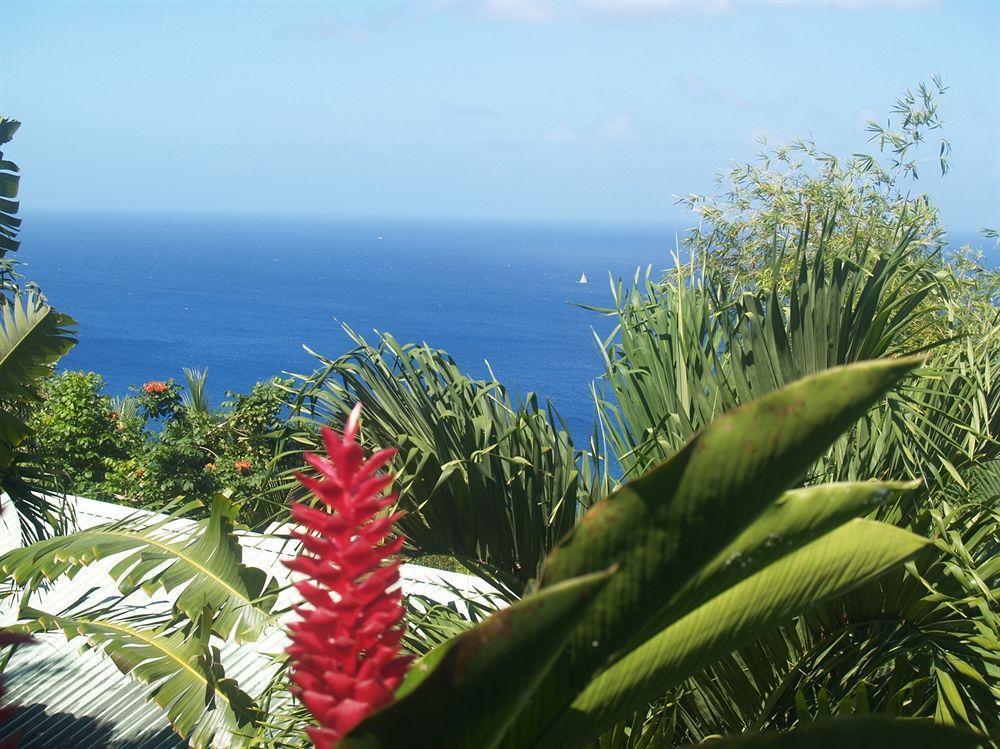Nature'S Paradise Bed and Breakfast Marigot Bay Exteriör bild