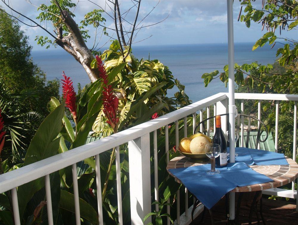 Nature'S Paradise Bed and Breakfast Marigot Bay Exteriör bild