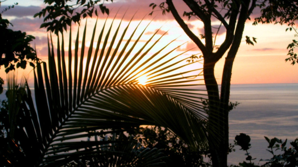 Nature'S Paradise Bed and Breakfast Marigot Bay Exteriör bild