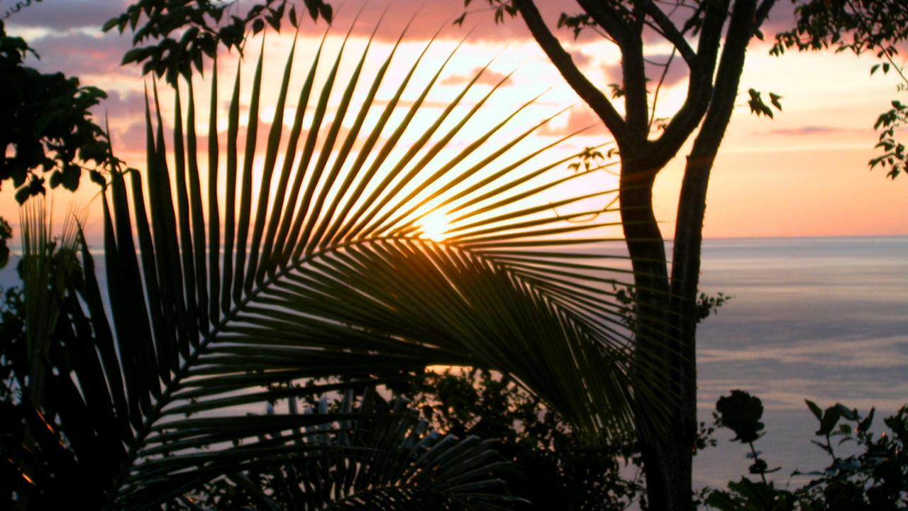 Nature'S Paradise Bed and Breakfast Marigot Bay Exteriör bild