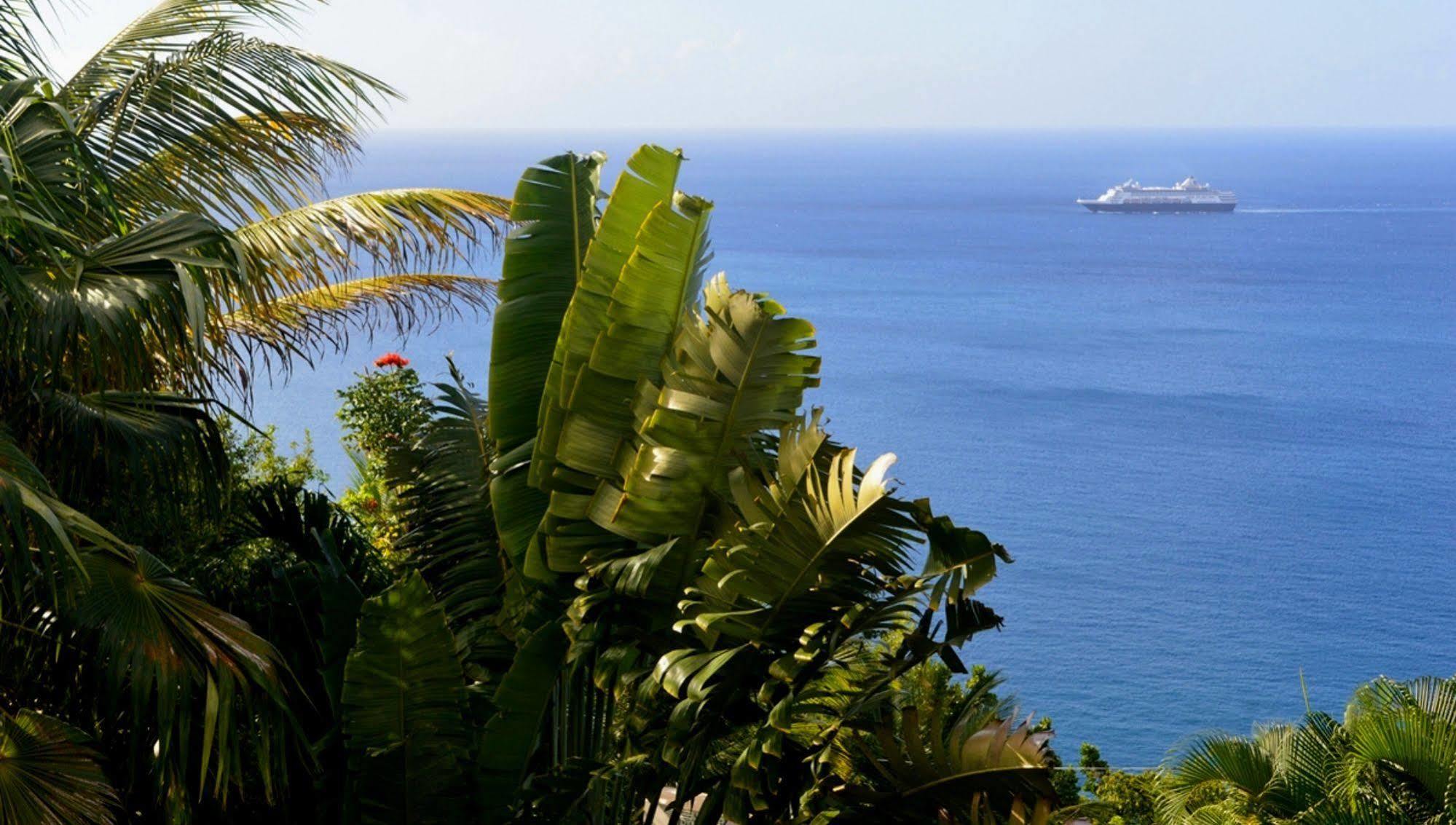 Nature'S Paradise Bed and Breakfast Marigot Bay Exteriör bild