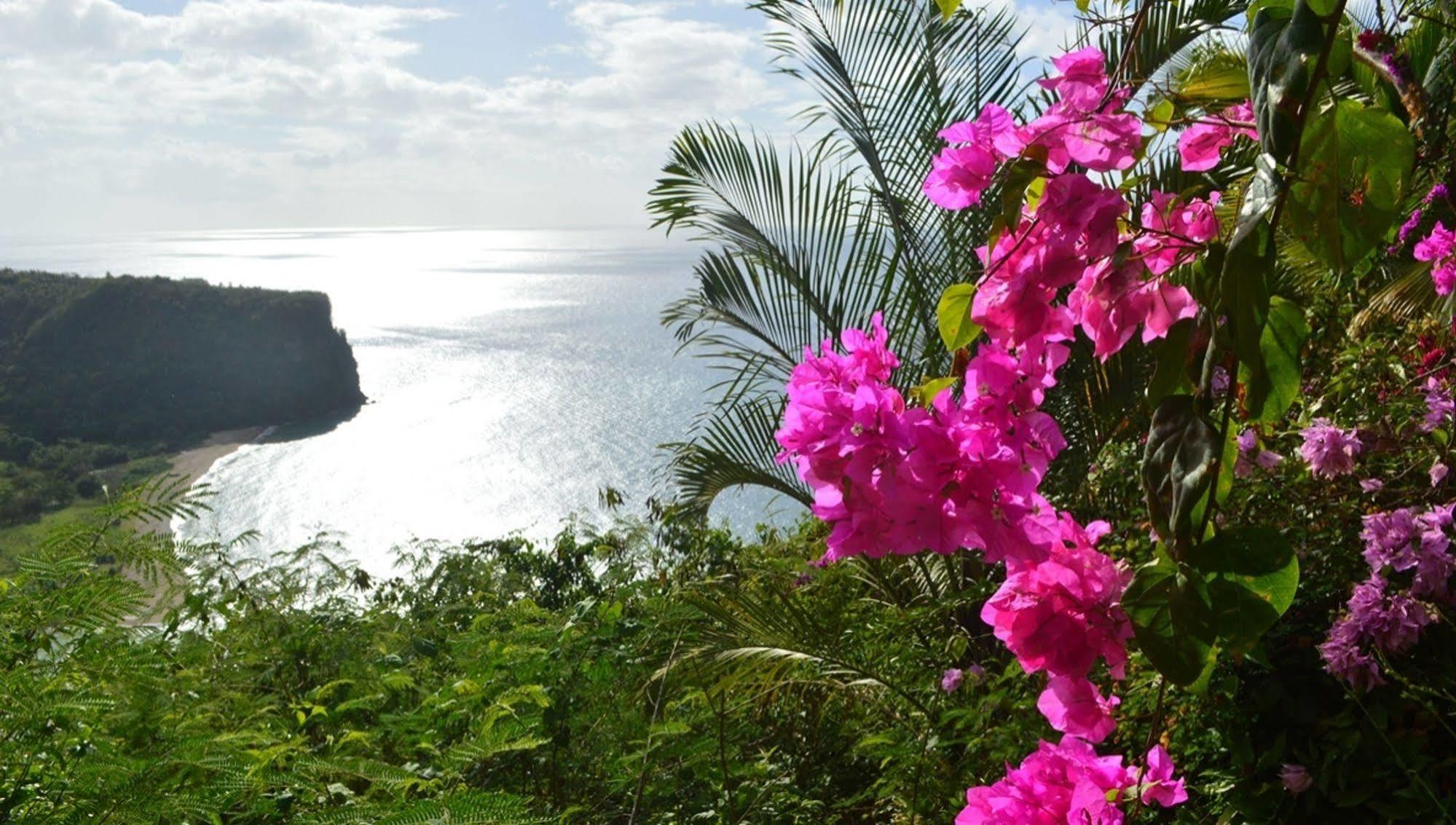 Nature'S Paradise Bed and Breakfast Marigot Bay Exteriör bild