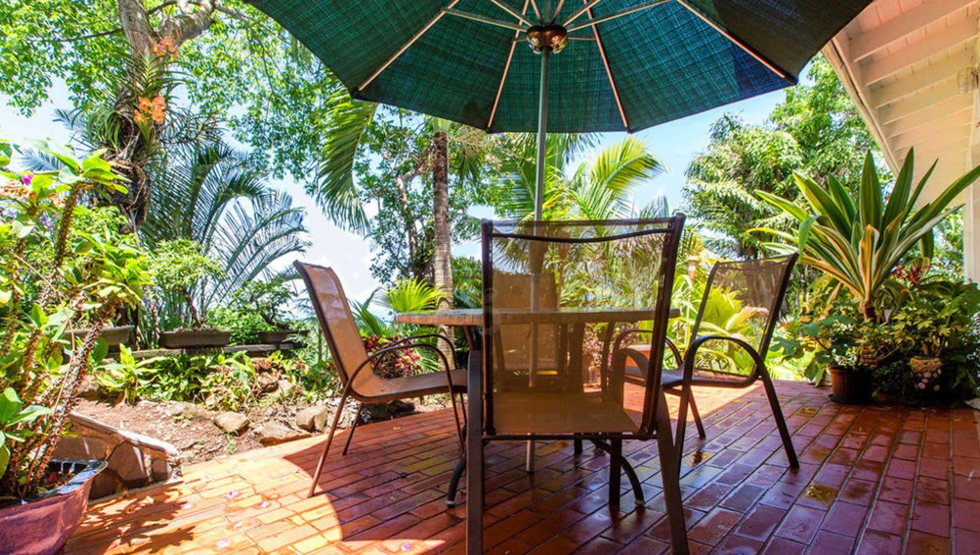 Nature'S Paradise Bed and Breakfast Marigot Bay Exteriör bild